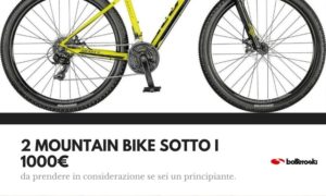 mountan bike sotto i mille euro