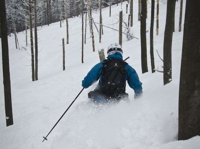 Salita e discesa: scopri la differenza tra sci freeride e scialpinismo: 